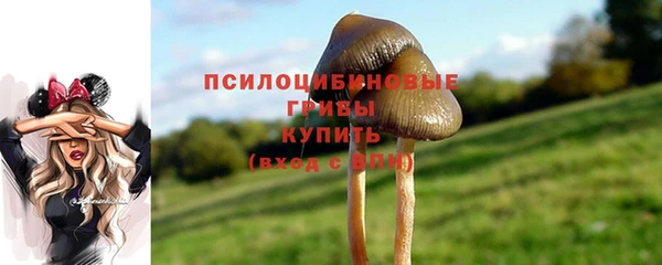 прущие крисы Кинешма