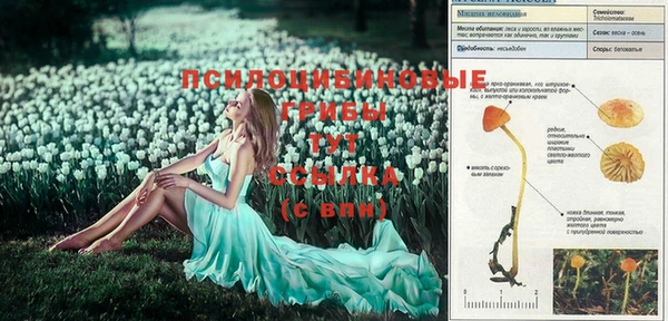 таблы Киренск