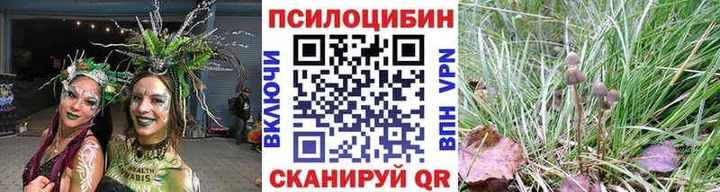 Псилоцибиновые грибы Cubensis  Купить где  Новоульяновск 